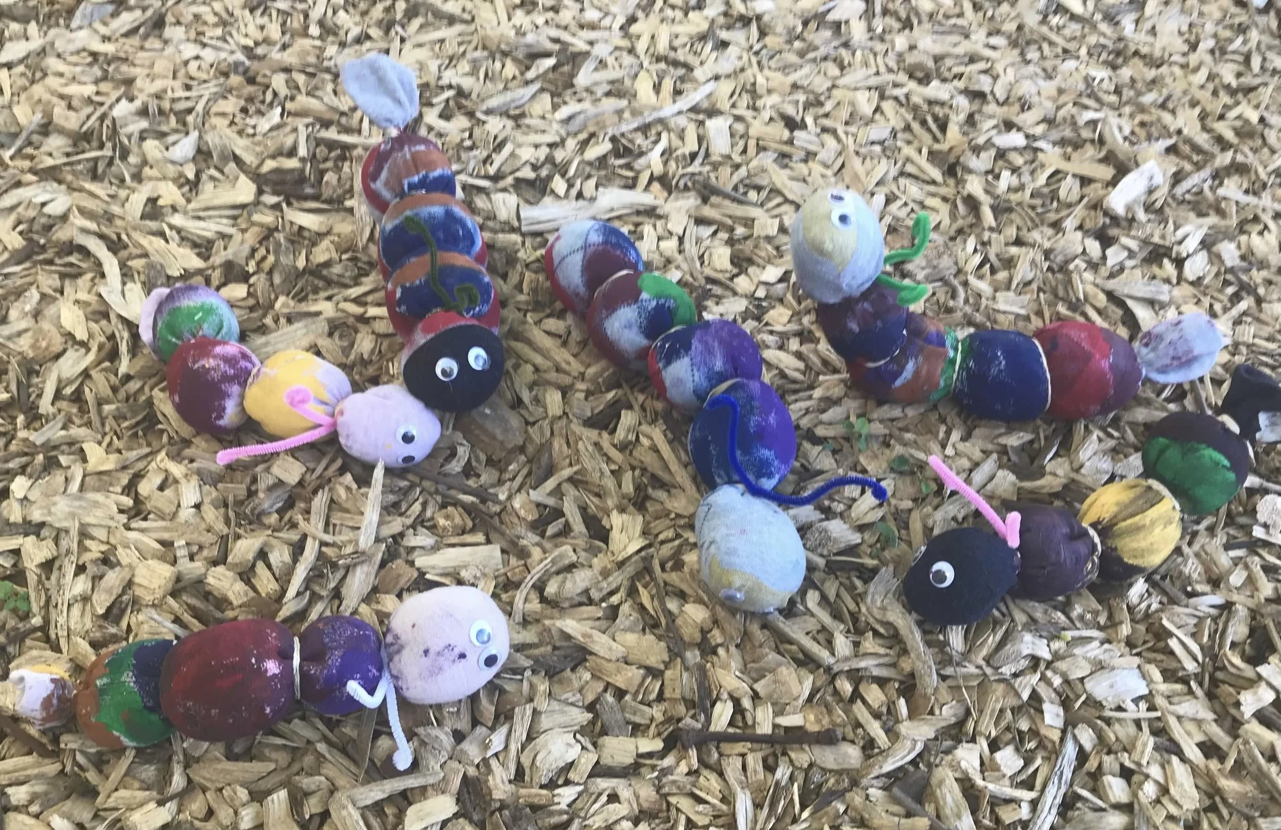 Classes/Program — Little Gardeners